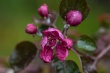 DSC_1065_1920