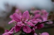 DSC_1068_1920