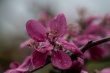 DSC_1070_1920