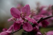 DSC_1071_1920