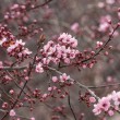 DSC_0896_1920