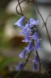 DSC_0862_1920