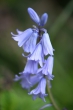 DSC_0871_1920