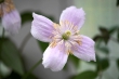 DSC_0886_1920