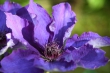 DSC_0965_1920