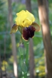 DSC_0987_1920