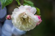 DSC_4826_1920
