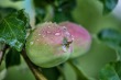 DSC_4832_1920