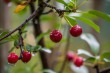 DSC_4838_1920