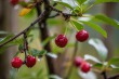 DSC_4840_1920