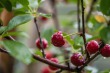 DSC_4841_1920