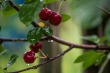 DSC_4842_1920