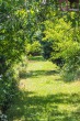 DSC_4843_1920