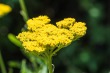 DSC_4889_1920