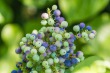 DSC_4907_1920