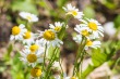 DSC_4911_1920