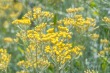 DSC_4926_1920