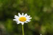 DSC_4929_1920