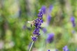DSC_4936_1920