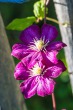 DSC_4972_1920