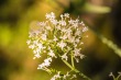 DSC_5006_1920