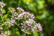 DSC_5039_1920