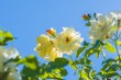 DSC_5057_1920