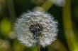 DSC_1090_1920