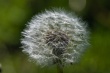 DSC_1095_1920