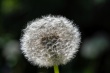 DSC_1097_1920
