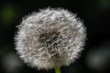 DSC_1099_1920