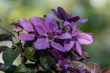 DSC_1101_1920