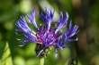 DSC_1103_1920