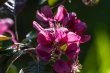 DSC_1106_1920