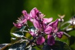 DSC_1110_1920