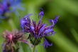 DSC_1118_1920