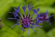 DSC_1122_1920