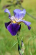 DSC_1128_1920