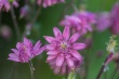 DSC_1130_1920