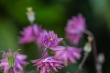 DSC_1132_1920