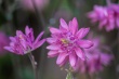 DSC_1134_1920