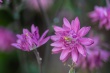 DSC_1135_1920