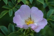 DSC_1141_1920
