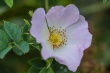 DSC_1144_1920