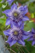 DSC_1148_1920
