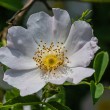 DSC_2042_2400