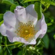 DSC_2046_2400