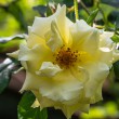 DSC_2058_2400