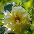 DSC_2060_2400