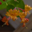 DSC_2073_2400